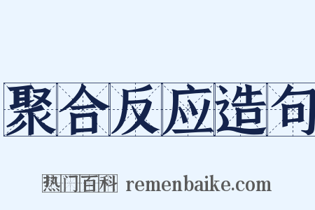 聚合反应造句是什么意思的图片